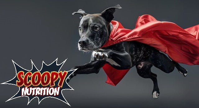 Super Health - Soft Chews with Mushrooms and Super Herbs