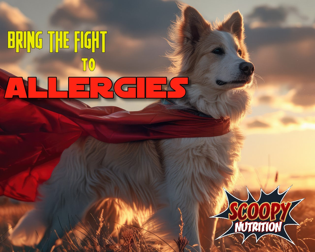 Allergy Shield - Soft Chews